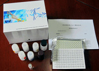 LTC4說(shuō)明書(shū) 人白三烯C4ELISA試劑盒廠(chǎng)家——上海勁馬實(shí)驗(yàn)設(shè)備配件產(chǎn)品介紹